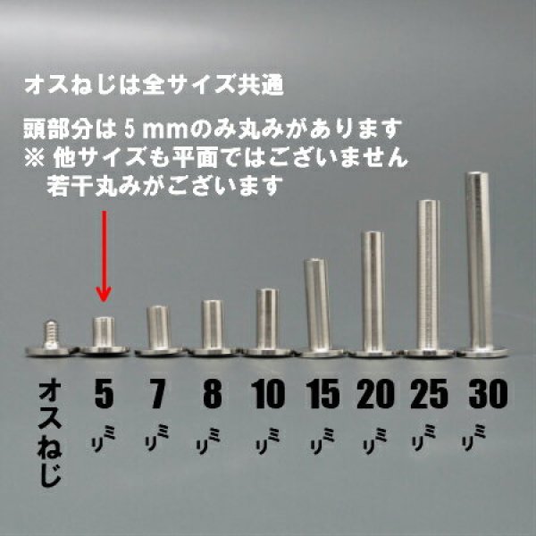 メール便対応] 片ビス/片ネジ式ビス 10mm 50本 - Gadget Store